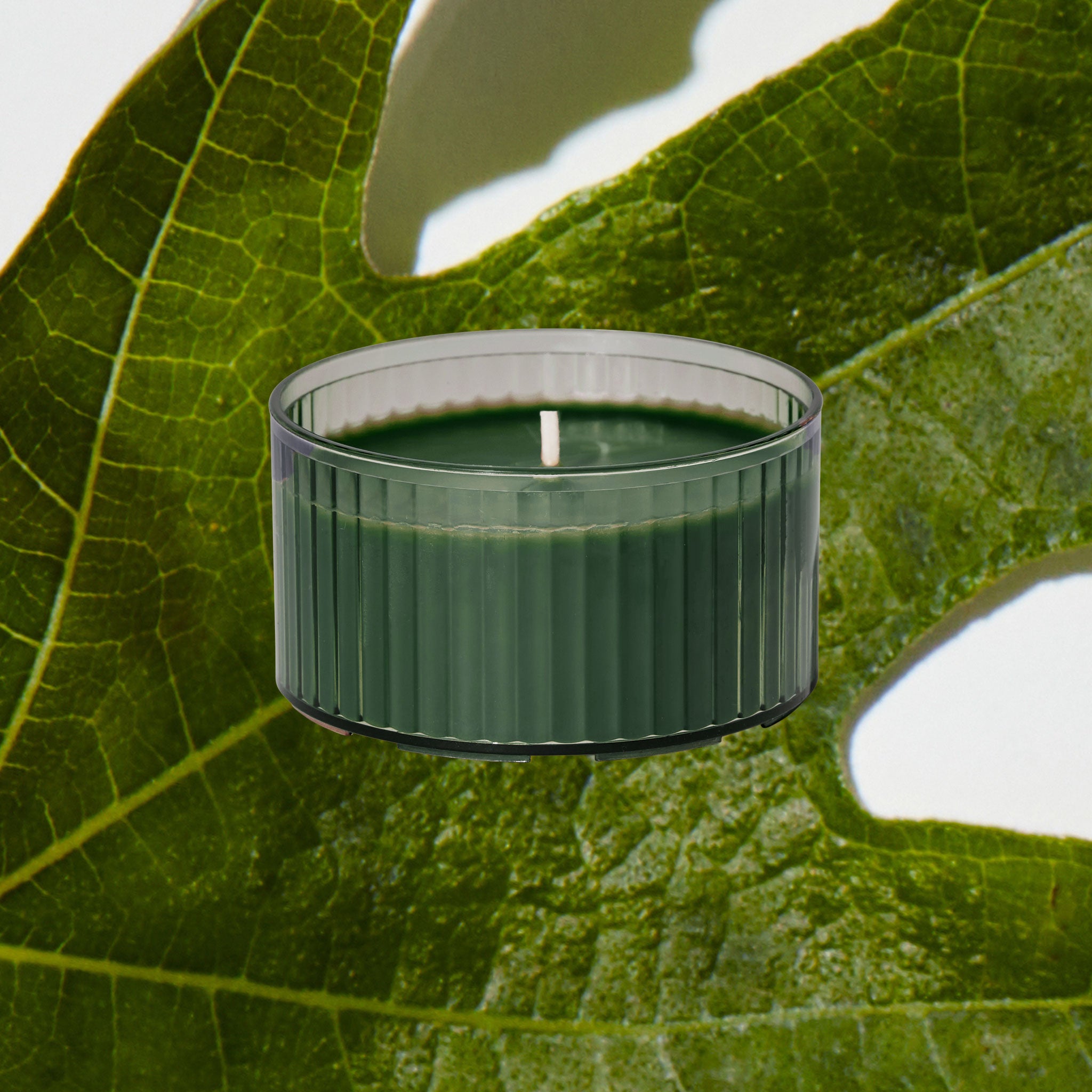 Vow Factor  - 2 oz Sample image 1
