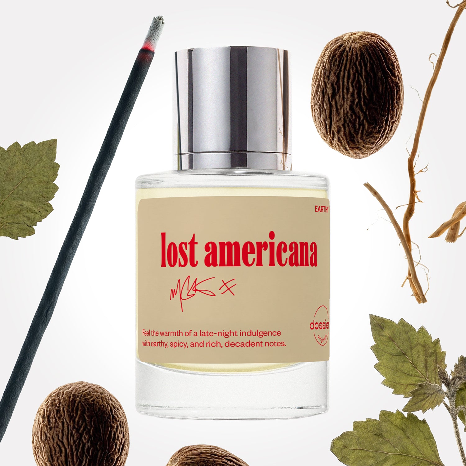 Lost Americana image 1