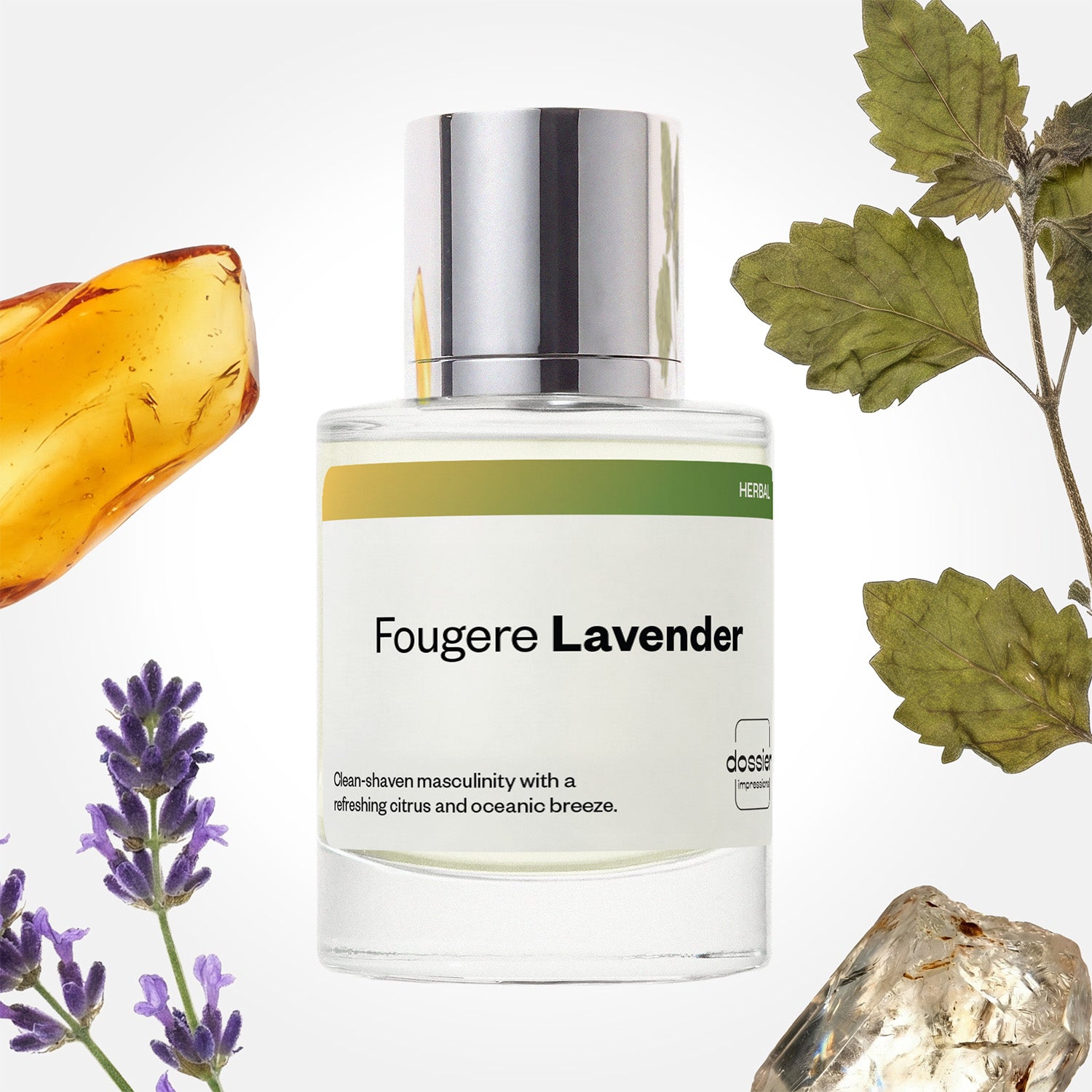 Fougere Lavender image 1