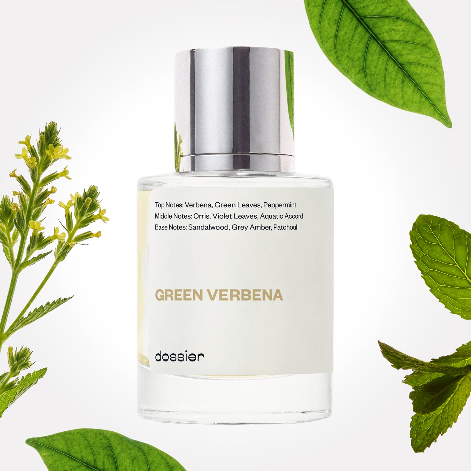 Green Verbena image 1