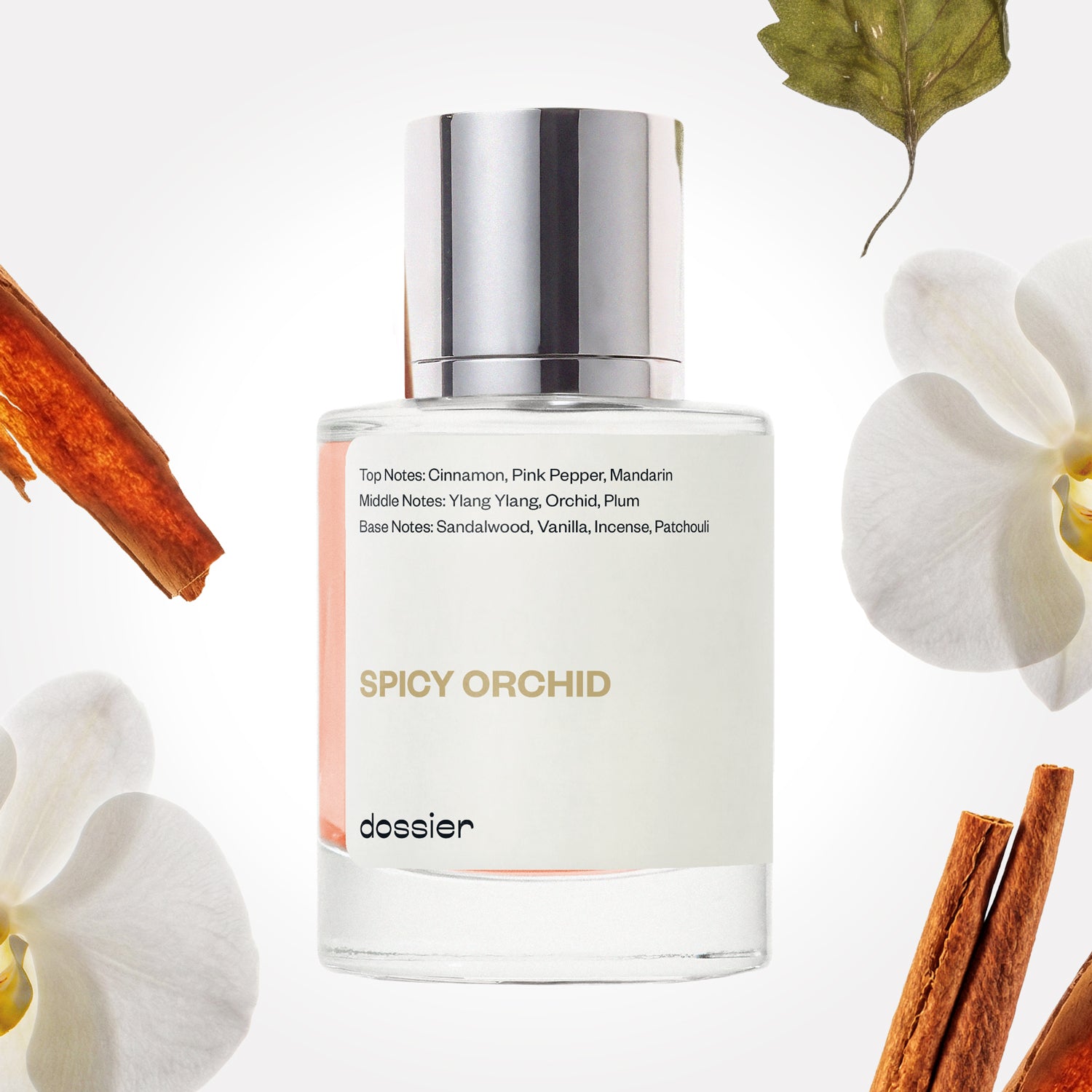 Spicy Orchid image 1
