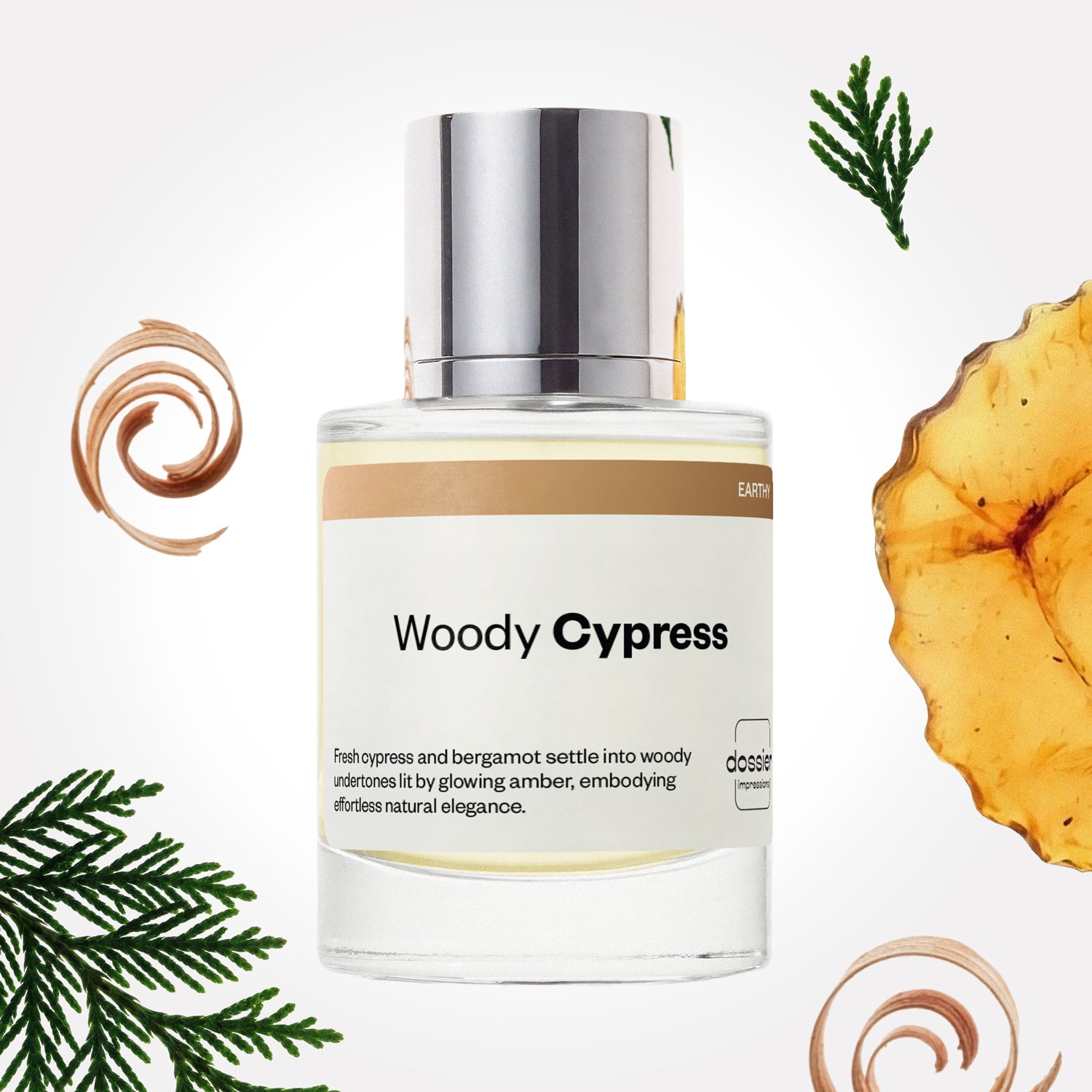 Woody Cypress image 1