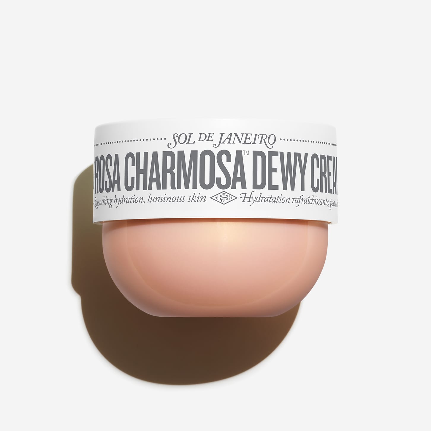 Rosa Charmosa™ Dewy Cream image 1